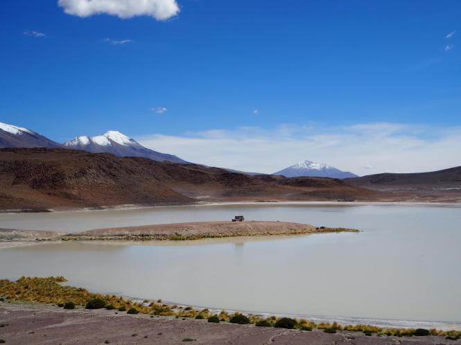 Laguna honda tour salar Uyuni