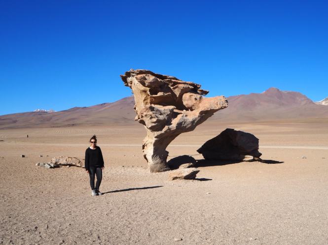 Tour salar uyuni arbol piedra