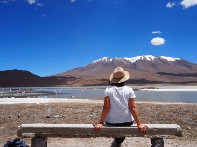 Laguna Hedionda uyuni