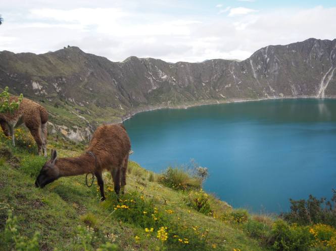 Dando la vuelta a la laguna del Quilotoa